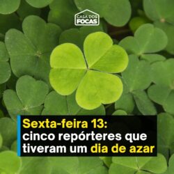 18026654791656832_casadosfocas